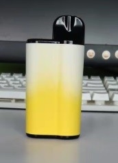 5000 Puff Disposable Prefilled Pod Vape Winter Breeze Flavor